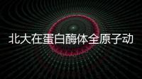 北大在蛋白酶體全原子動力學分析取得突破