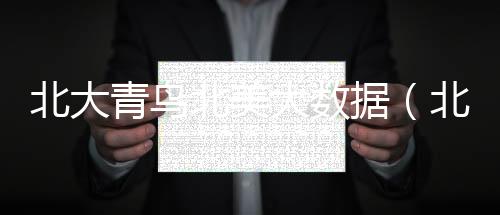 北大青鳥北美大數(shù)據(jù)（北大青鳥大數(shù)據(jù) 價(jià)格）