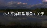 北太平洋巨型章魚（關(guān)于北太平洋巨型章魚的基本情況說明介紹）