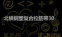 北鎮(zhèn)鋼塑復(fù)合拉筋帶30020C廠家