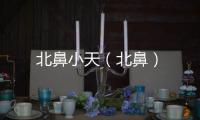 北鼻小天（北鼻）