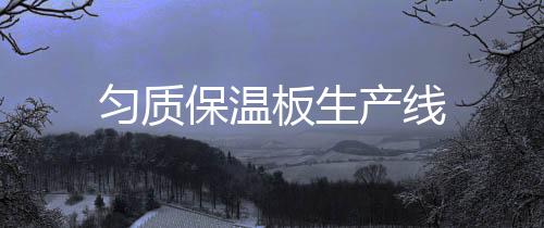 勻質保溫板生產線