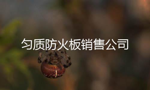 勻質防火板銷售公司