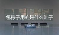包粽子用的是什么葉子