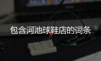 包含河池球鞋店的詞條