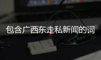 包含廣西東走私新聞的詞條