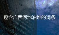 包含廣西河池油堆的詞條