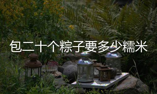 包二十個粽子要多少糯米（包二奶）