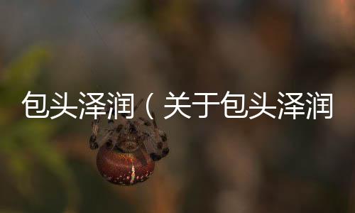 包頭澤潤（關于包頭澤潤的基本情況說明介紹）