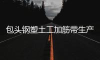 包頭鋼塑土工加筋帶生產廠家