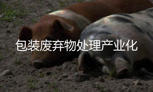 包裝廢棄物處理產業化
