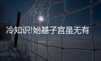 冷知識!始基子宮雖無有效方法治療但并非不可以生育