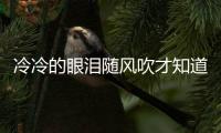 冷冷的眼淚隨風吹才知道離別的滋味是什么歌