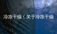 冷凍干燥（關于冷凍干燥的基本情況說明介紹）