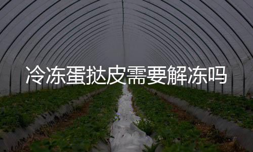 冷凍蛋撻皮需要解凍嗎