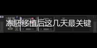 凍胚移植后這幾天最關鍵！一文揭秘重要原因