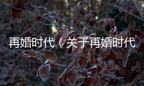 再婚時代（關于再婚時代的基本情況說明介紹）