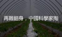 再難翻身，中國科學家掏出 LK
