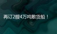 再訂2艘4萬噸散貨船！慧洋海運去年業績再創新高