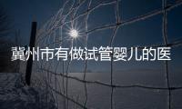 冀州市有做試管嬰兒的醫(yī)院嗎？做一次費用大概多少