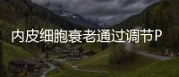 內皮細胞衰老通過調節PDGFB的表達介導缺氧引起肺動脈的重塑