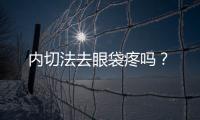 內切法去眼袋疼嗎？