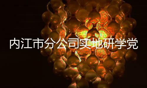 內江市分公司實地研學黨史