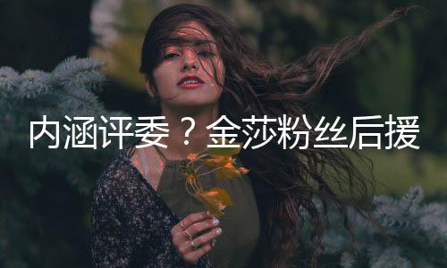 內(nèi)涵評委？金莎粉絲后援會曬出聊天完整錄屏辟謠