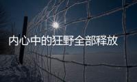 內心中的狂野全部釋放 實拍BJ40雨林穿越版