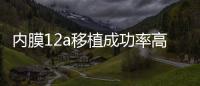 內膜12a移植成功率高不高戳，好不好著床看完心里有譜