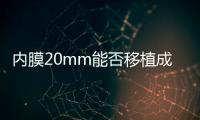 內(nèi)膜20mm能否移植成功分析，掌握好時(shí)間放凍胚也能著床