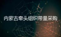 內蒙古牽頭組織帶量采購臨床常用藥