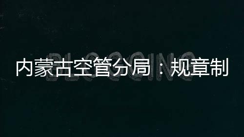 內蒙古空管分局：規章制度記心間 精心維護保安全