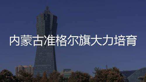 內蒙古準格爾旗大力培育鄉土人才