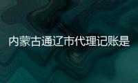 內蒙古通遼市代理記賬是什么意思