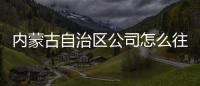 內蒙古自治區公司怎么往國外打錢