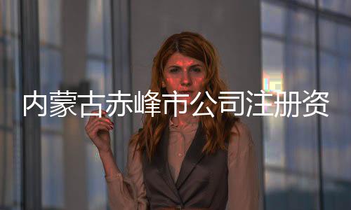 內(nèi)蒙古赤峰市公司注冊資料隨時對接