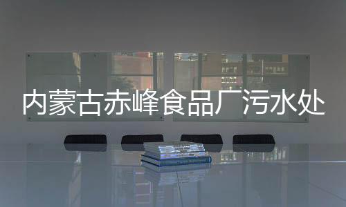 內(nèi)蒙古赤峰食品廠污水處理設(shè)備