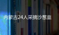 內蒙古24人采摘沙蔥韭菜花被查處