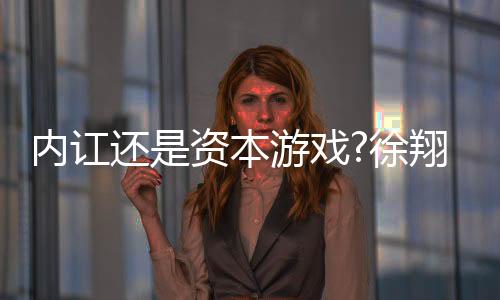 內訌還是資本游戲?徐翔再戰華麗家族