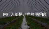 內行人都是這樣除甲醛的,一個月就搬新家