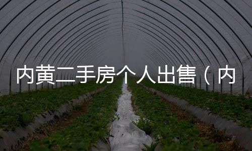內黃二手房個人出售（內黃二手房）