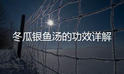 冬瓜銀魚湯的功效詳解