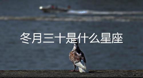 冬月三十是什么星座