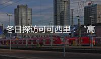 冬日探訪可可西里：“高原精靈”展現(xiàn)生命力量
