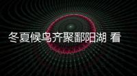 冬夏候鳥齊聚鄱陽湖 看萬鳥齊翔生態奇觀→