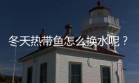 冬天熱帶魚怎么換水呢？冬天熱帶魚換水能用熱水器里的嗎