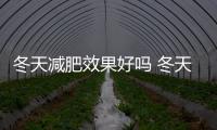 冬天減肥效果好嗎 冬天減肥和夏天減肥哪個效果好