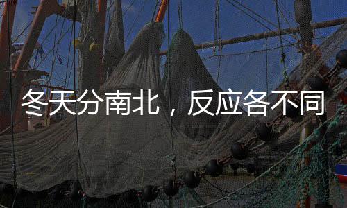 冬天分南北，反應(yīng)各不同！門窗這事，兩者的細節(jié)差別還是挺大的