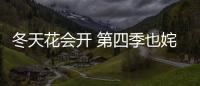 冬天花會(huì)開(kāi) 第四季也姹紫嫣紅